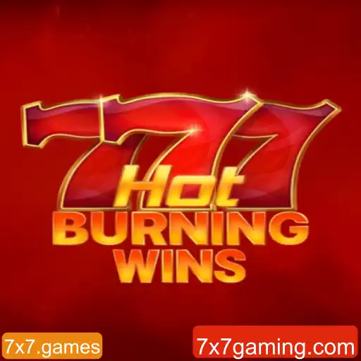 Explorando o Mundo de HotBurningWins: Um Guia Completo
